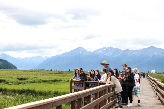 Alaska, scenery, tourist, marsh, mountain, mountains
