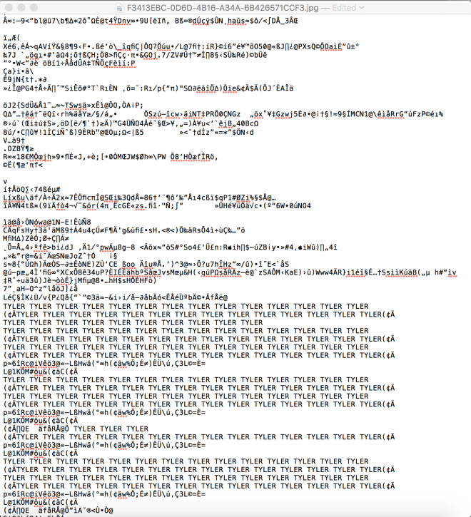 Screen Shot 2017-08-28 at 11.29.41 AM